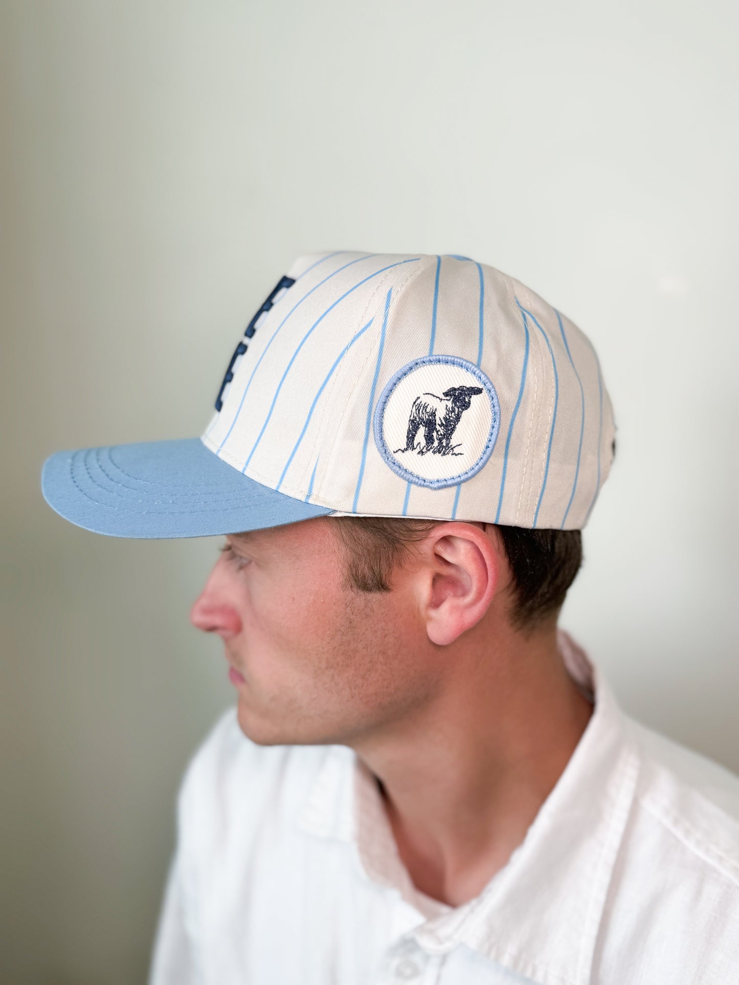 The One - Pinstripe Hat